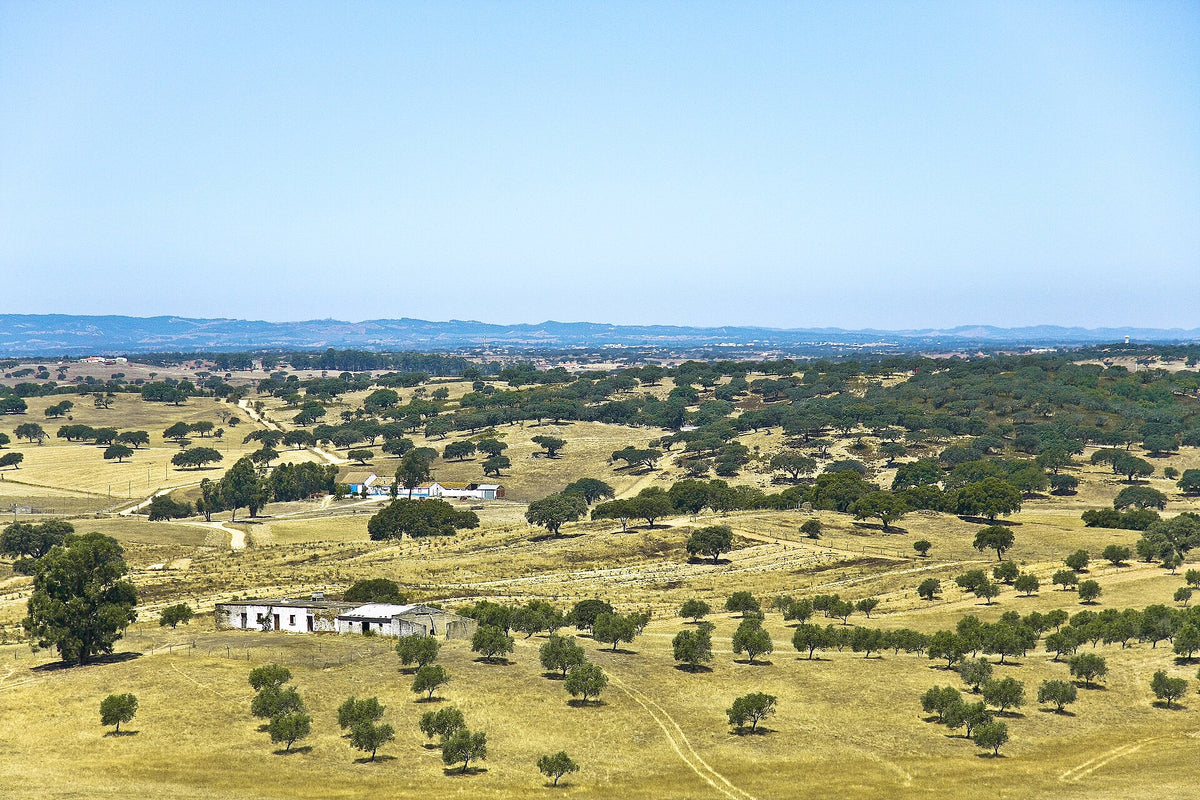 Landschaft im Alentejo