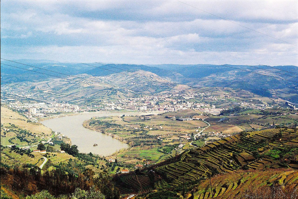 Douro-Tal bei Peso da Régua