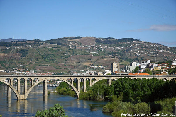 Douro-Tal bei Peso da Régua