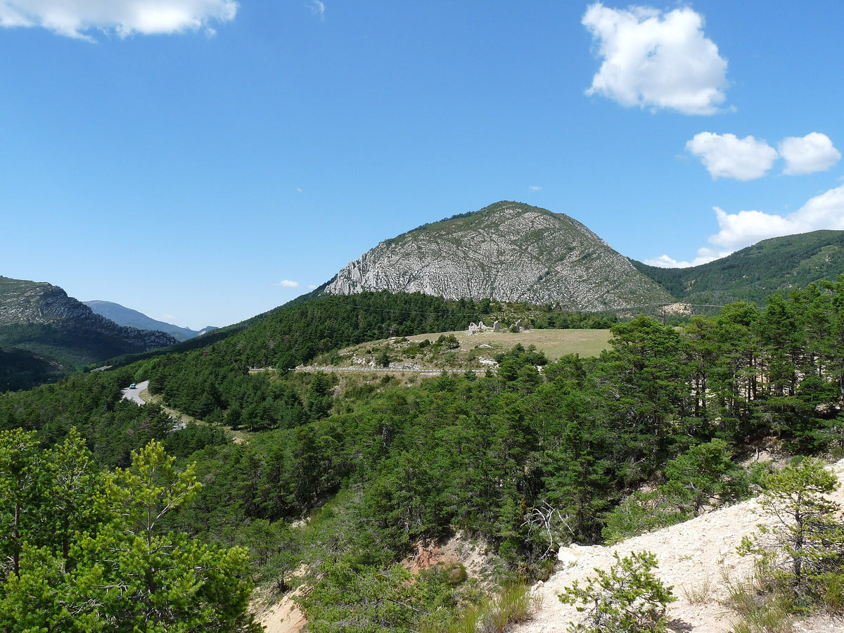 Col des Lèques