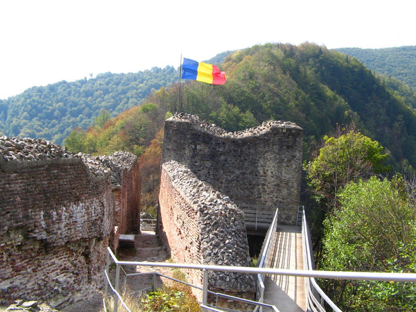 Burg Poenari